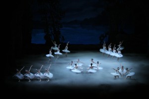 tofestival-swan