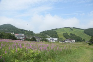SummerCourse2015-06